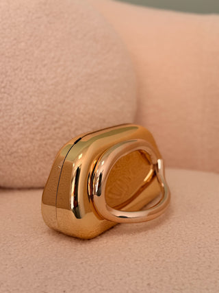 Bolso Dorado| Dan
