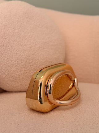 Bolso Dorado| Dan