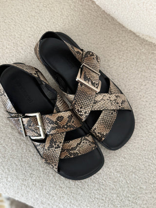 Sandalia estampado animal | Sania - Alalá Moda Mujer